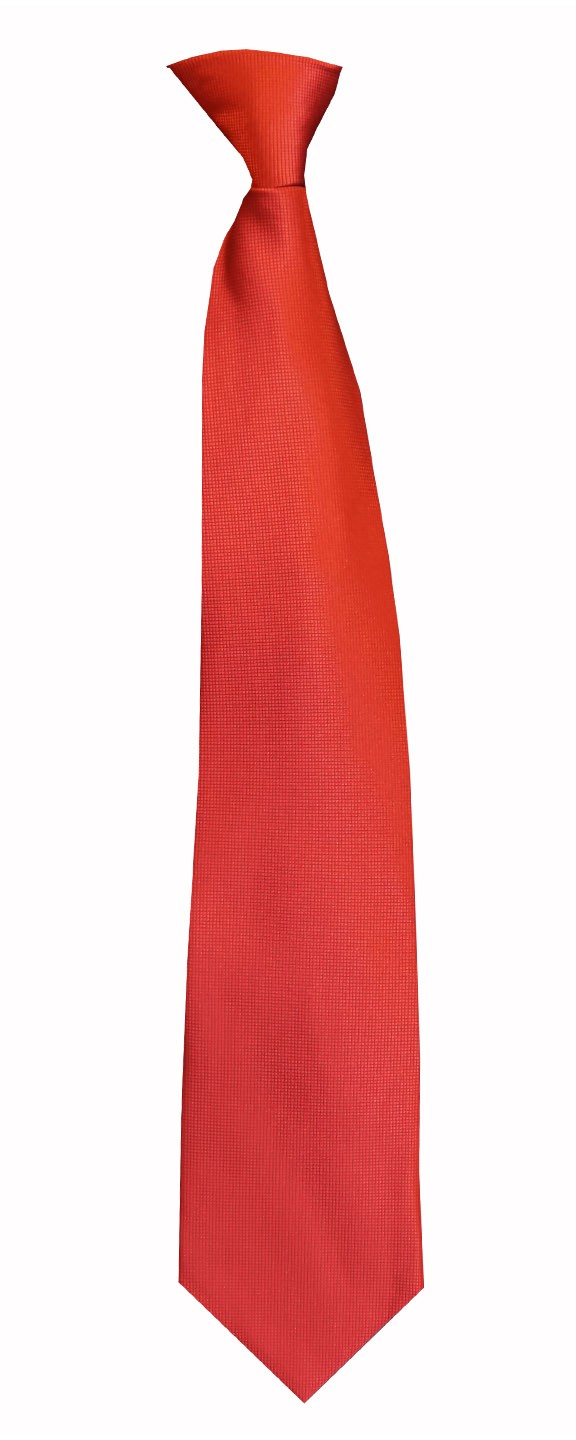 FlaskTie Men's Microfiber Adjustable Clasp On Novelty Necktie 